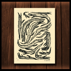 dc_relief_prints_18