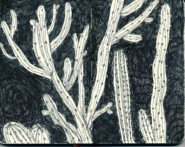 Cacti_Drew_Christie_Seattle_Plants_Sketchbook_Drawing