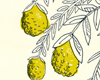 Lemon_Tree-Drew_Christie_Thumbnail
