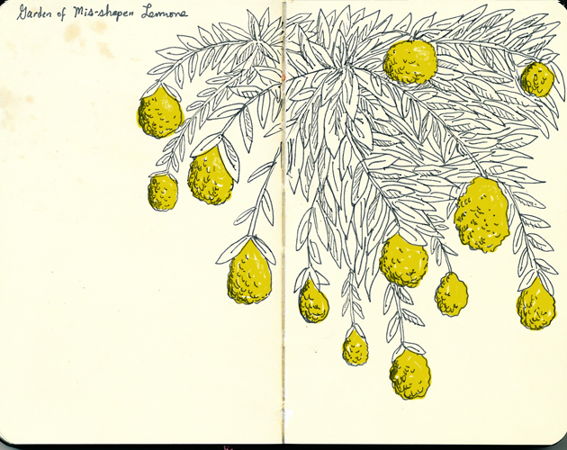 Lemons_Sketchbook_Drew_Christie_Illustration_Drawing_Animation_Illustration_Seattle