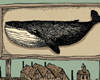 Thumbnail_Whale_City_Nantucket_Town_Drawing_Illustration_Color_BY_Drew_Christie
